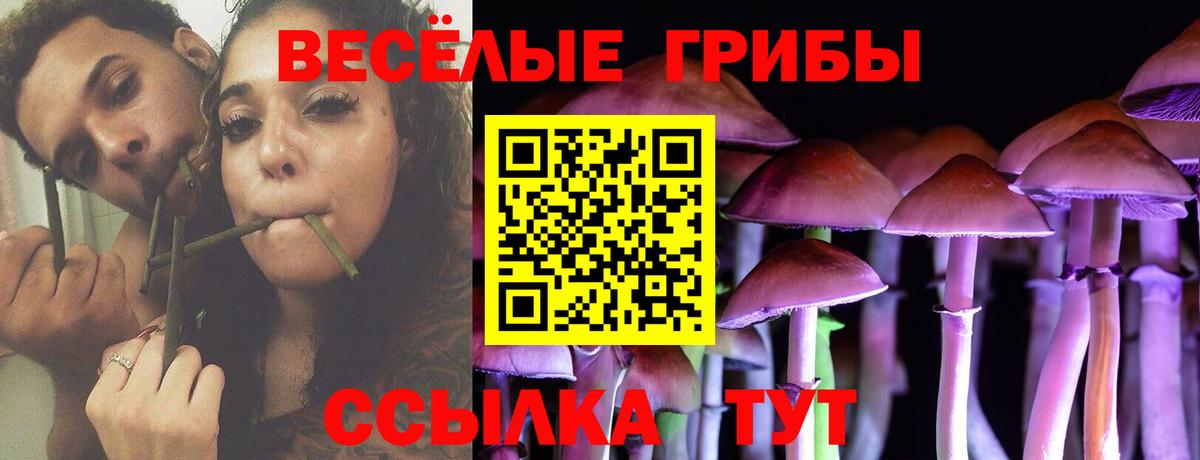 Псилоцибиновые грибы прущие грибы Кашира